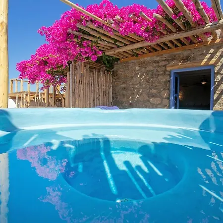 阿普森特夫妇入住酒店 - 米科诺 Agios Ioannis Diakoftis